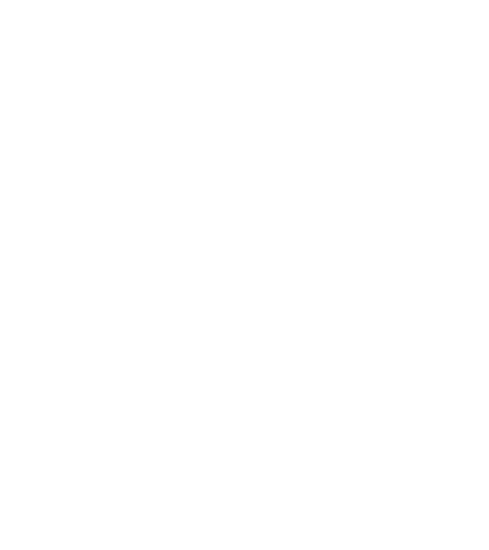 P3 Sports Inc.